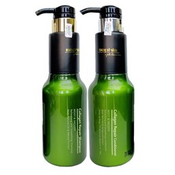 Bộ dầu gội xả Sophia Collagen cho tóc khô hư tổn 500mlx2 (KOREA) - Cặp Bộ dầu gội xả Sophia Collagen cho tóc khô hư tổn 500mlx2 (KOREA) - Cặp